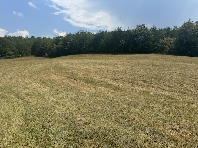 2355 Jim Henry Rd, Dandridge, TN 37725 - photo 7
