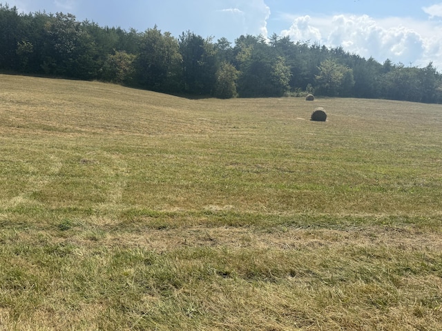 2355 Jim Henry Rd, Dandridge, TN 37725 - photo 6