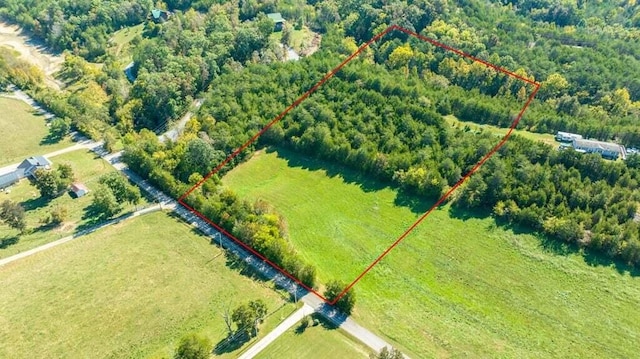 2355 Jim Henry Rd, Dandridge, TN 37725 - photo 3
