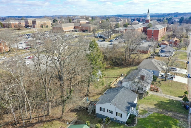 bird's eye view