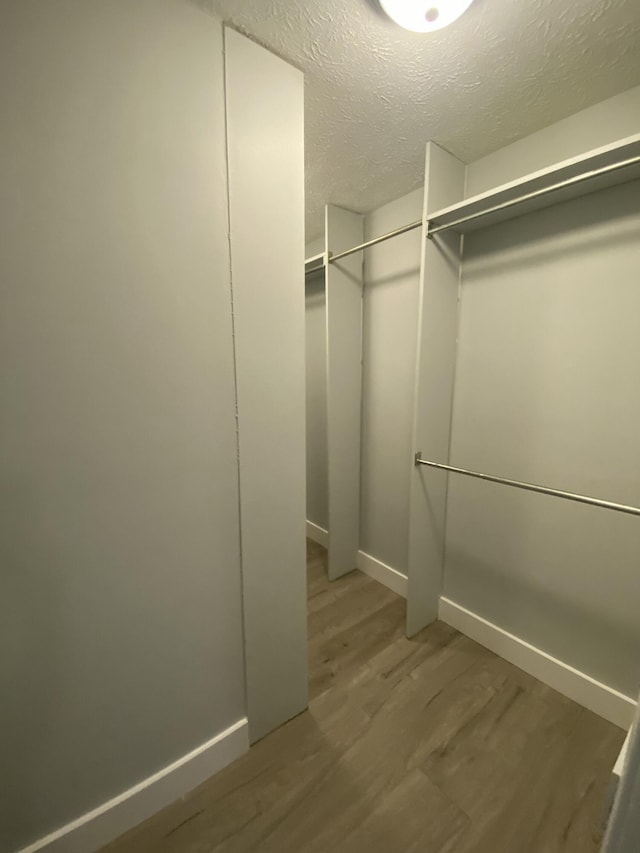 walk in closet featuring hardwood / wood-style floors