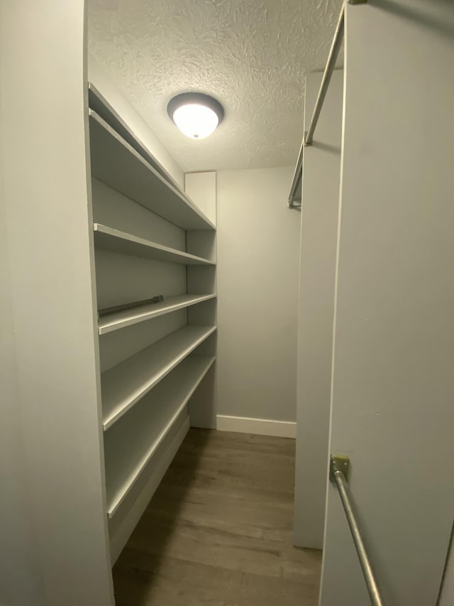 walk in closet with hardwood / wood-style floors