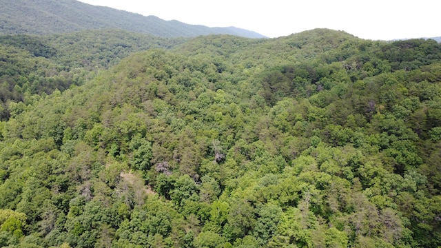 TBD Adams Ln, Mooresburg, TN 37811 - photo 5