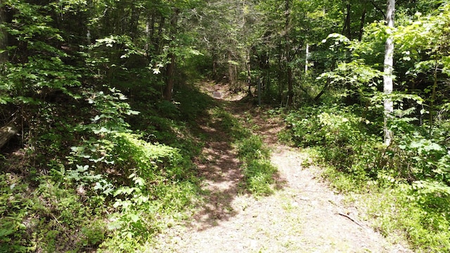 TBD Adams Ln, Mooresburg, TN 37811 - photo 19