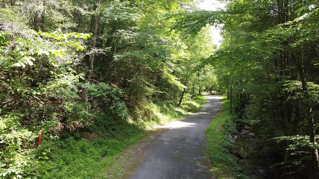 TBD Adams Ln, Mooresburg, TN 37811 - photo 18