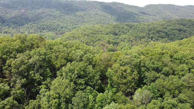 TBD Adams Ln, Mooresburg, TN 37811 - photo 14