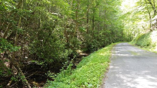 TBD Adams Ln, Mooresburg, TN 37811 - photo 22