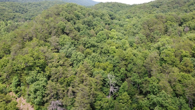 TBD Adams Ln, Mooresburg, TN 37811 - photo 2
