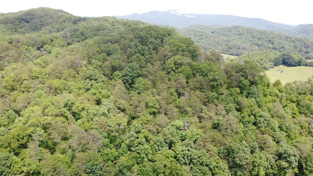 TBD Adams Ln, Mooresburg, TN 37811 - photo 8