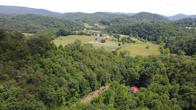 TBD Adams Ln, Mooresburg, TN 37811 - photo 9