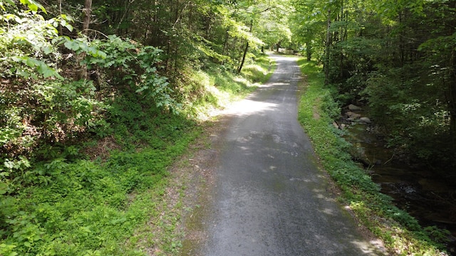 TBD Adams Ln, Mooresburg, TN 37811 - photo 15