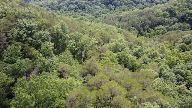 TBD Adams Ln, Mooresburg, TN 37811 - photo 11
