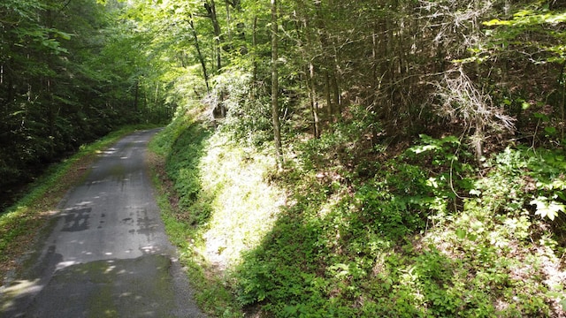 TBD Adams Ln, Mooresburg, TN 37811 - photo 16