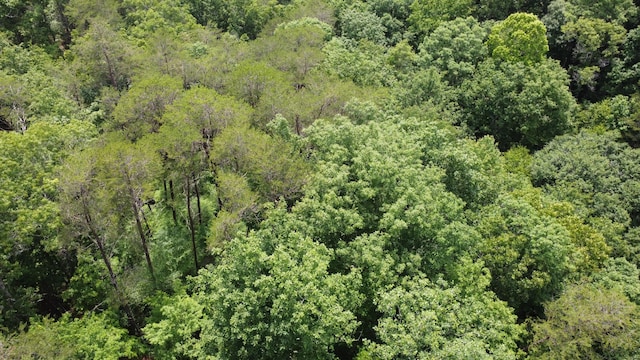TBD Adams Ln, Mooresburg, TN 37811 - photo 12