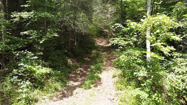 TBD Adams Ln, Mooresburg, TN 37811 - photo 20