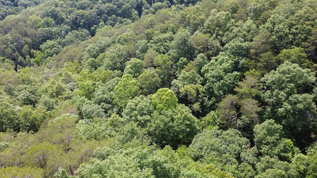 TBD Adams Ln, Mooresburg, TN 37811 - photo 10