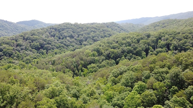 TBD Adams Ln, Mooresburg, TN 37811 - photo 13