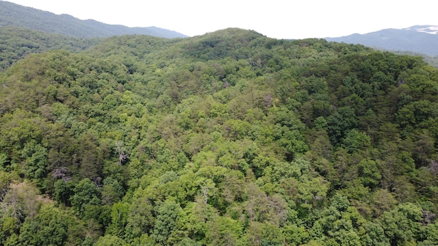 TBD Adams Ln, Mooresburg, TN 37811 - photo 7