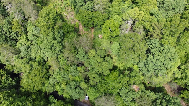 TBD Adams Ln, Mooresburg, TN 37811 - photo 6