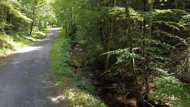 TBD Adams Ln, Mooresburg, TN 37811 - photo 21