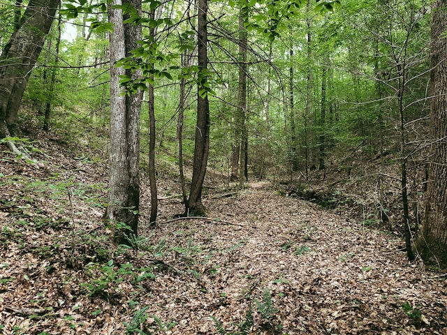 TBD Adams Ln, Mooresburg TN, 37811 land for sale