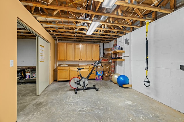 117 Tahlequah Ln, Loudon, TN 37774 - basement with concrete block wall