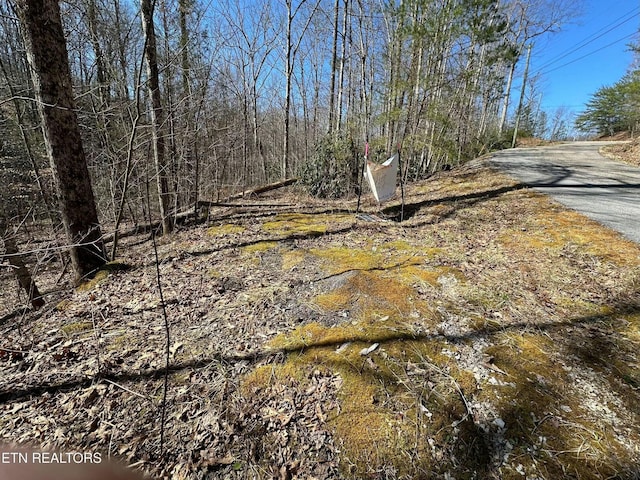 714 Pinnacle Vista Rd, Gatlinburg, TN 37738 - photo 11
