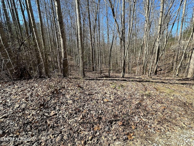 714 Pinnacle Vista Rd, Gatlinburg, TN 37738 - photo 8