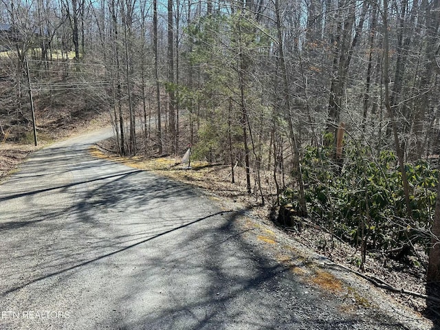 714 Pinnacle Vista Rd, Gatlinburg, TN 37738 - photo 14