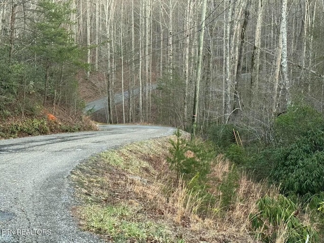 714 Pinnacle Vista Rd, Gatlinburg, TN 37738 - photo 2