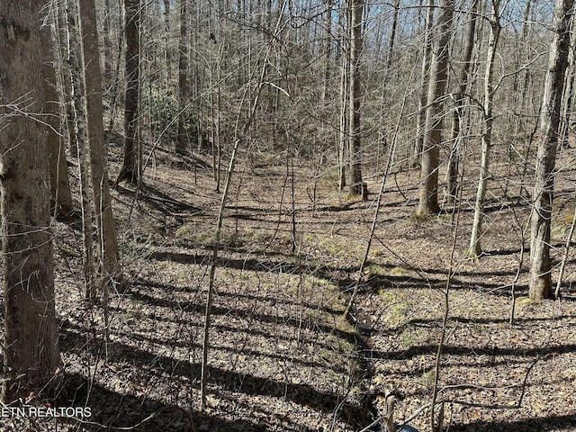 714 Pinnacle Vista Rd, Gatlinburg, TN 37738 - photo 17