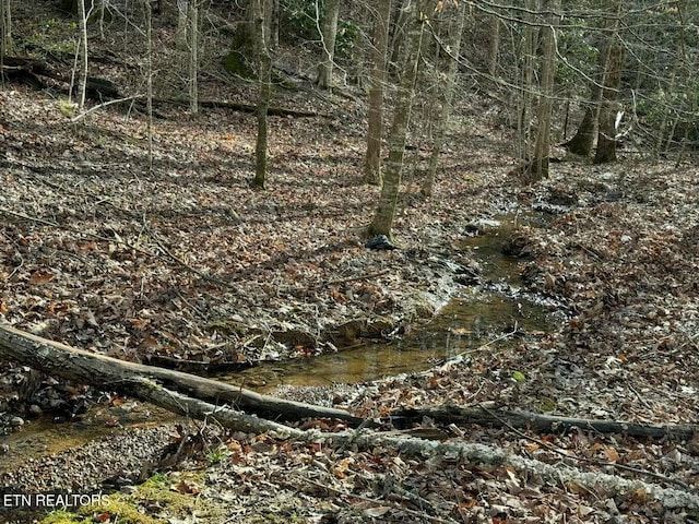 714 Pinnacle Vista Rd, Gatlinburg, TN 37738 - photo 3