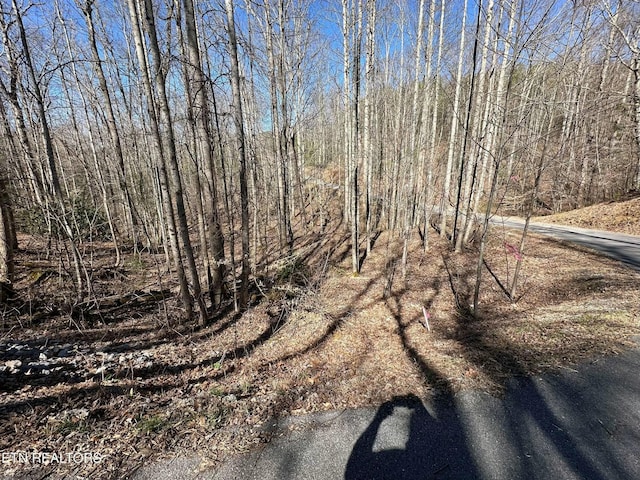 714 Pinnacle Vista Rd, Gatlinburg, TN 37738 - photo 7