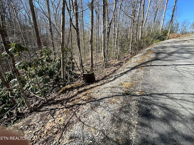 714 Pinnacle Vista Rd, Gatlinburg, TN 37738 - photo 12