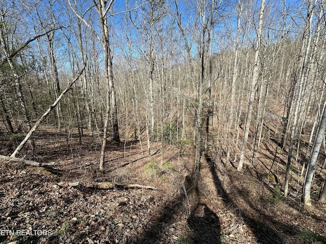 714 Pinnacle Vista Rd, Gatlinburg, TN 37738 - photo 5