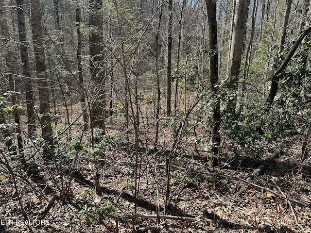 714 Pinnacle Vista Rd, Gatlinburg, TN 37738 - photo 13