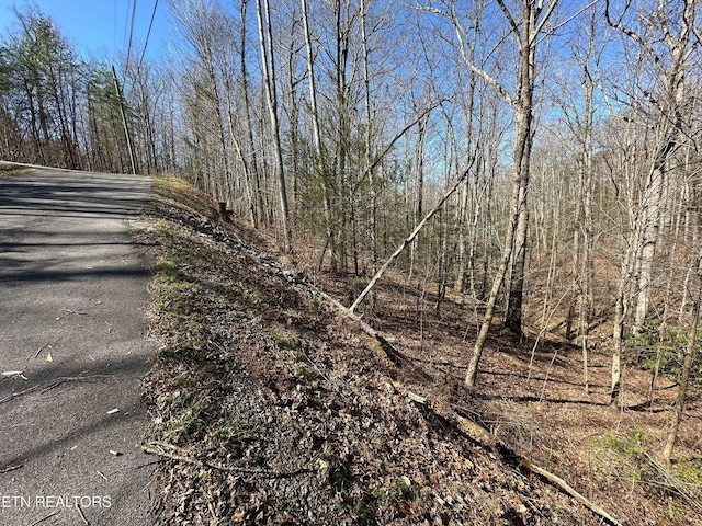 714 Pinnacle Vista Rd, Gatlinburg, TN 37738 - photo 6