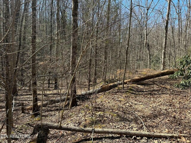 714 Pinnacle Vista Rd, Gatlinburg, TN 37738 - photo 16