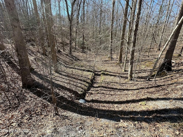 714 Pinnacle Vista Rd, Gatlinburg, TN 37738 - photo 9