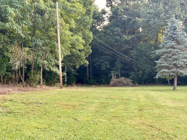 166 Clevenger Cut Off Rd, Newport, TN 37821 - view of grassy yard featuring a wooded view