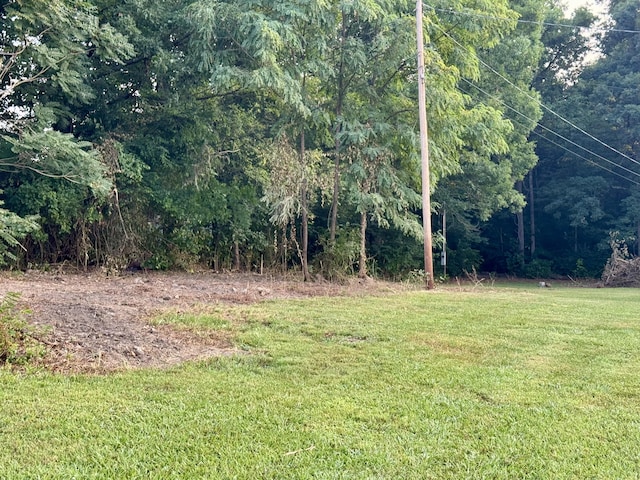 166 Clevenger Cut Off Rd, Newport, TN 37821 - view of green lawn featuring a forest view