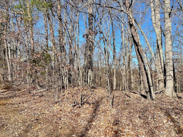 LOT969 Iron Gate Dr, Baneberry, TN 37890 - photo 7