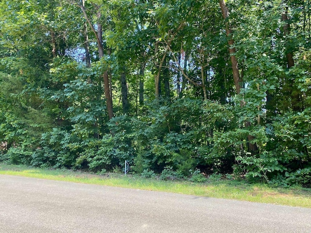 LOT969 Iron Gate Dr, Baneberry, TN 37890 - photo 1
