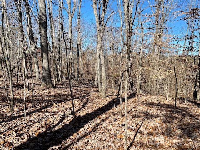LOT969 Iron Gate Dr, Baneberry, TN 37890 - photo 6