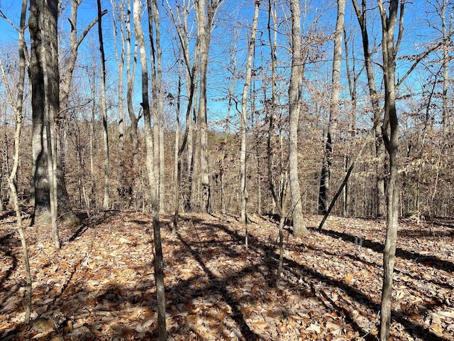 Listing photo 3 for LOT969 Iron Gate Dr, Baneberry TN 37890