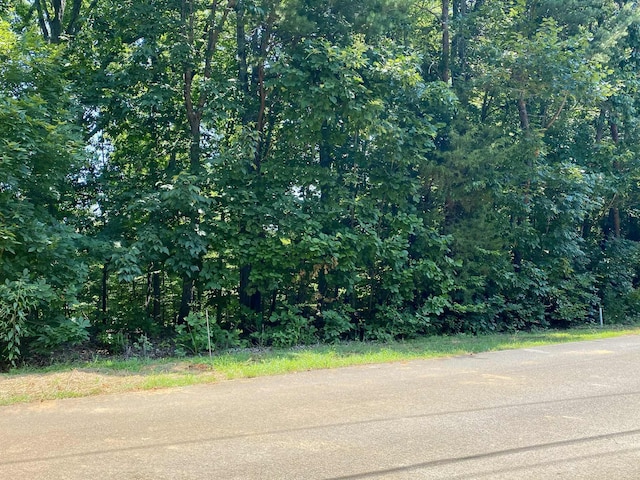 LOT969 Iron Gate Dr, Baneberry, TN 37890 - photo 2
