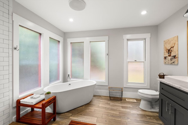 bathroom with a freestanding tub, plenty of natural light, vanity, and wood finished floors