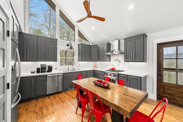 kitchen featuring wall chimney exhaust hood, a sink, light countertops, and stainless steel appliances