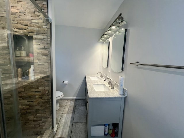 bathroom featuring vanity, an enclosed shower, and toilet