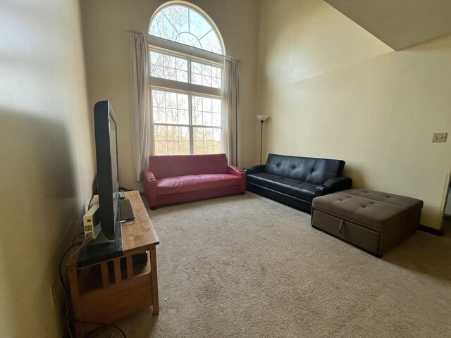 living room with carpet floors